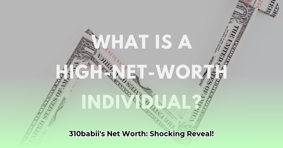 310babii-net-worth